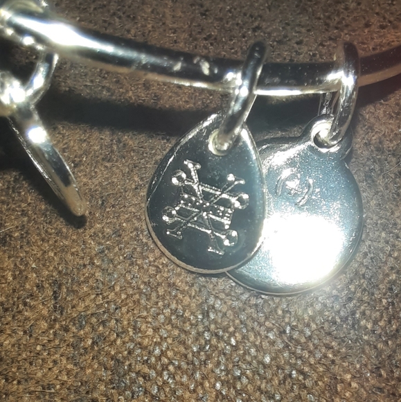 Alex and Ani Color Virgo Zodiac Charm Bangle Shiny Silvertone Finish - Picture 5 of 10